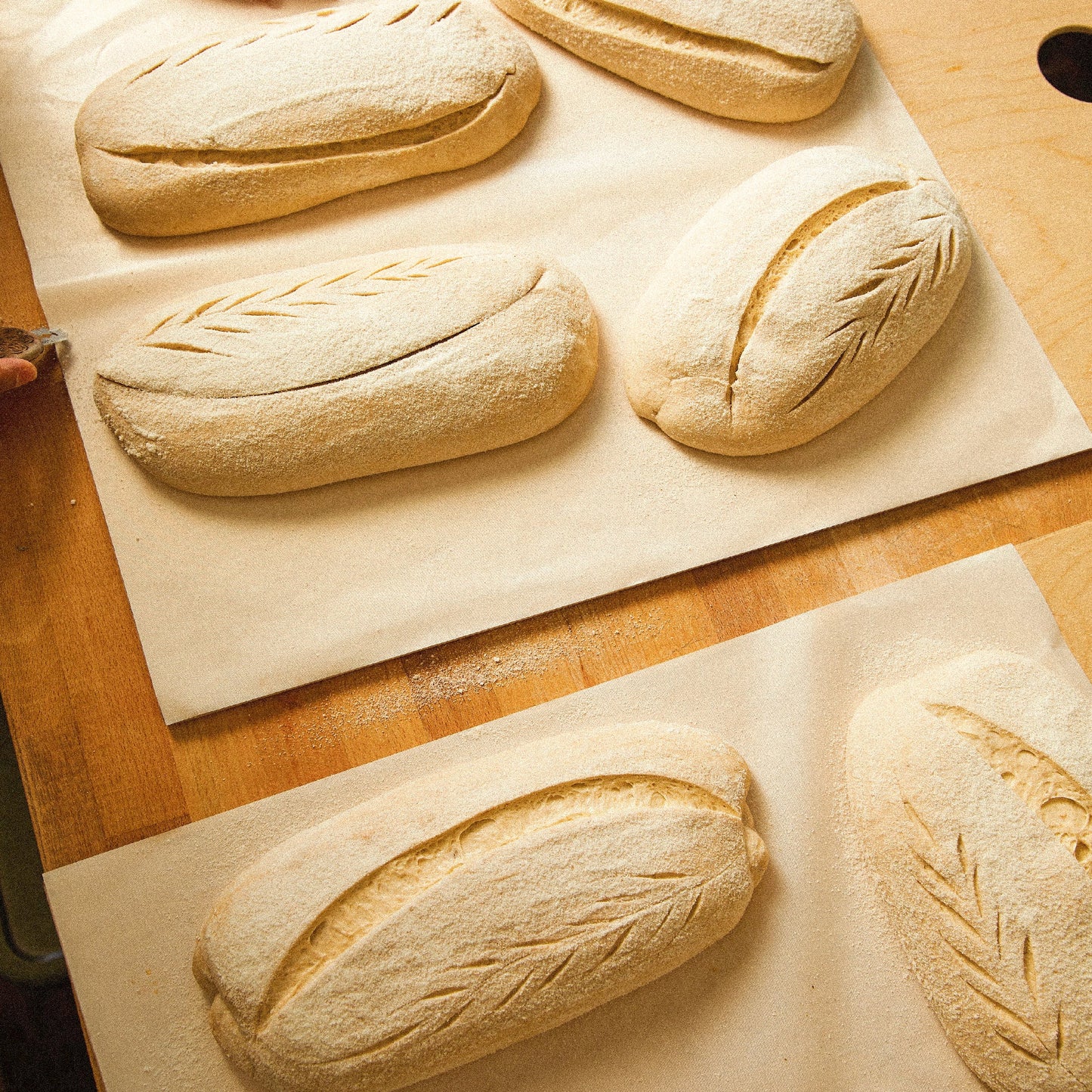 Bakmat met antiaanbaklaag (set van 3 - bruin)